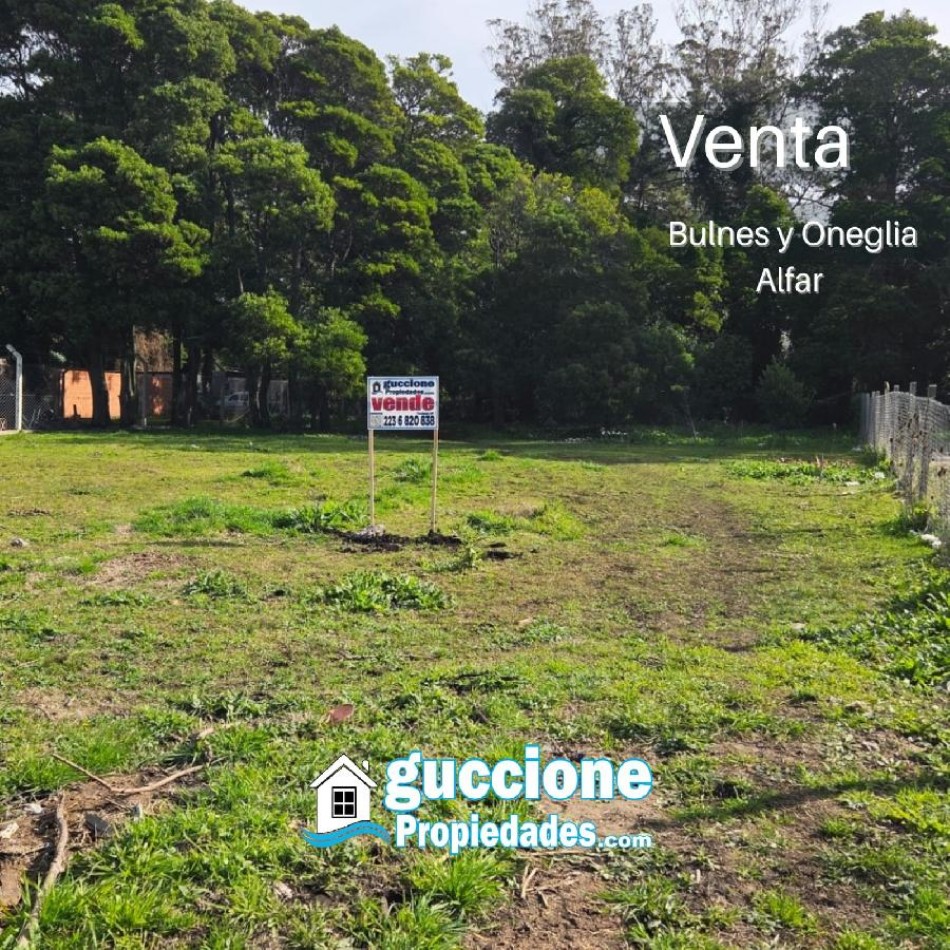 LOTE ALFAR ONEGLIA Y PEREZ BULNES 